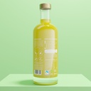 GBE500 HYDRATE (BACK).jpeg