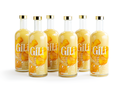 GILI BIO Ginger Elixir Family Pack 6x700mL